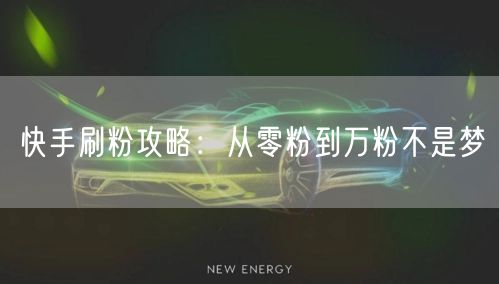 快手刷粉攻略：从零粉到万粉不是梦