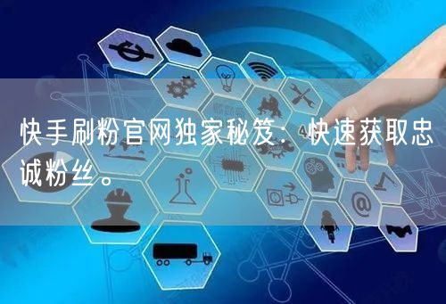 快手刷粉官网独家秘笈：快速获取忠诚粉丝。