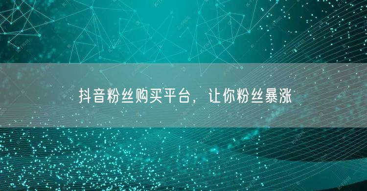 抖音粉丝购买平台，让你粉丝暴涨