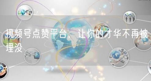 视频号点赞平台，让你的才华不再被埋没