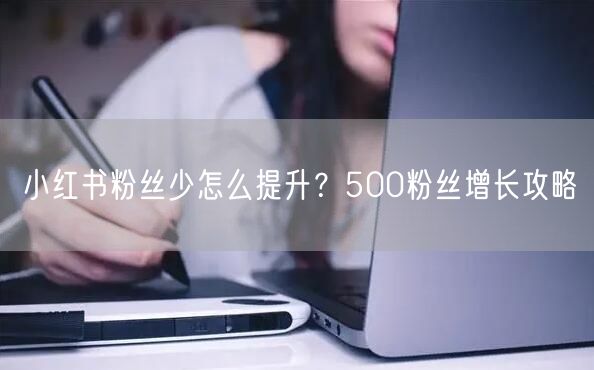 小红书粉丝少怎么提升？500粉丝增长攻略